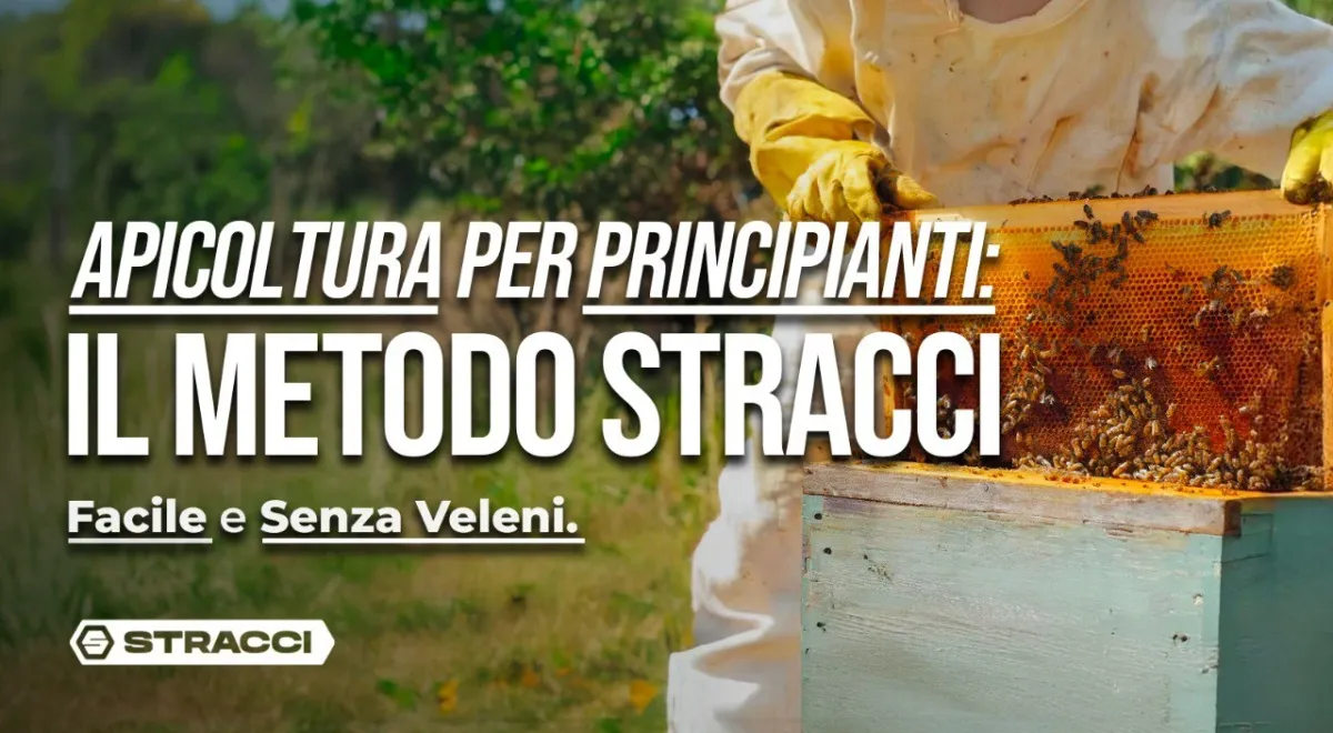 Copertina del corso Apicoltura per Principianti