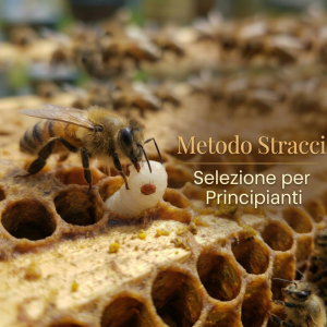 Metodo Stracci: Selezione per Principianti - BASE